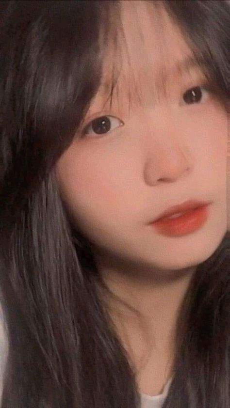 旧番